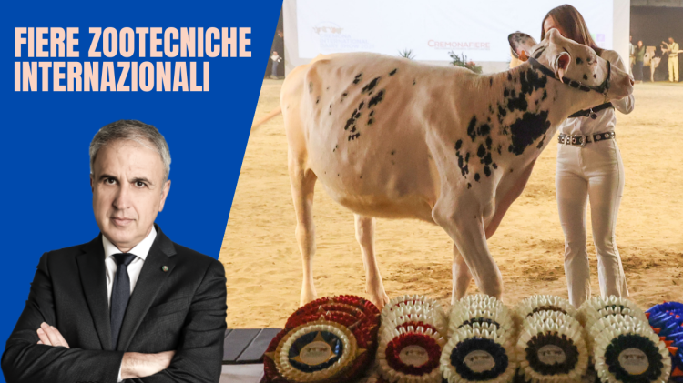 In Fiera la riscossa del modello Cremona