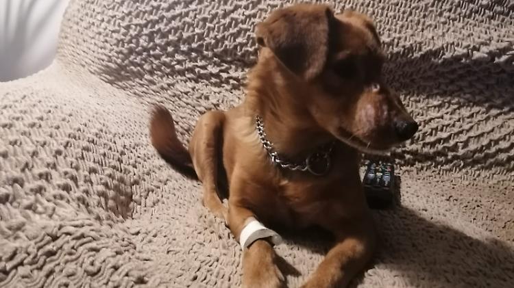 Otto torna a casa: "La convalescenza sarà lunga ma almeno è fuori pericolo"