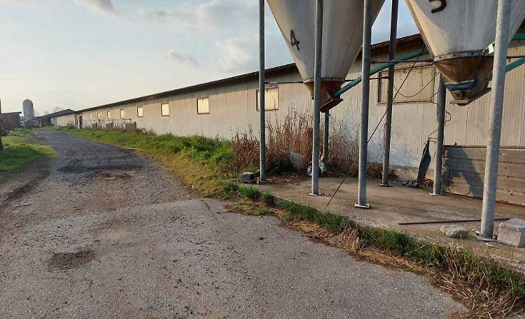 Il colpo dei ladri di conigli e di gasolio