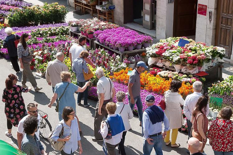 Cremona giardino