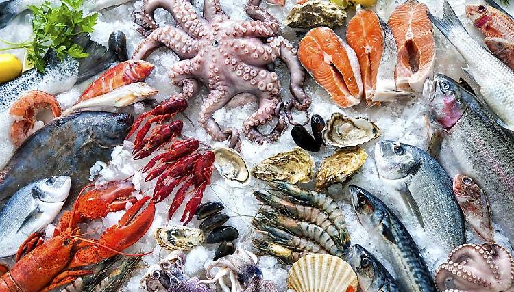 La salute del mare preoccupa il 93% degli italiani, nuove scelte a tavola