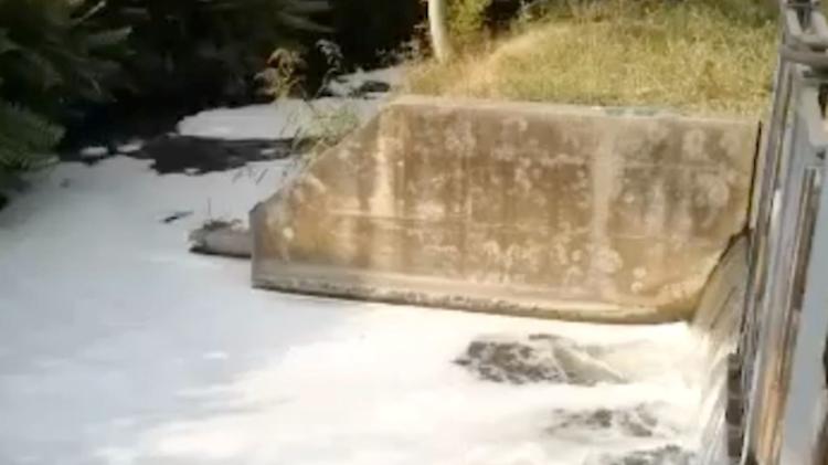 Una schiuma sospetta inquina un canale in zona Codebruni Levante a Cicognara