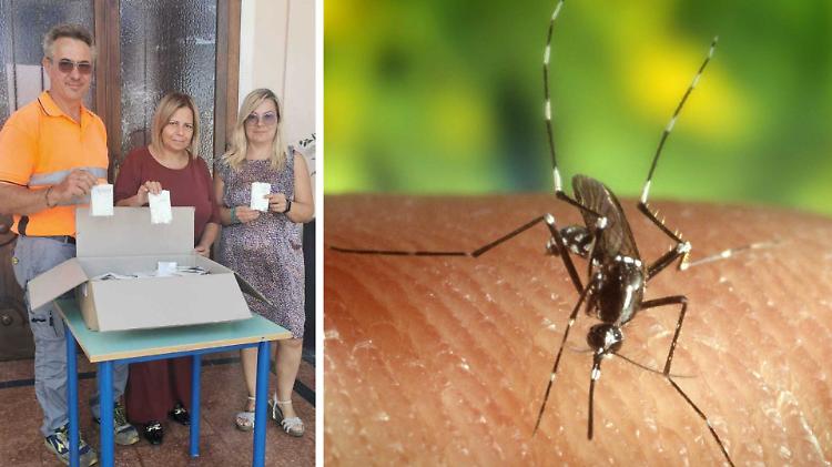 West Nile Virus, larvicidi gratis dal Comune