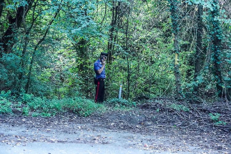 Incidenti lavoro: boscaiolo di 29 anni muore in Valtellina