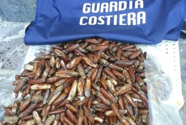 Disastro ambientale, dodici "datterai" condannati nel Napoletano