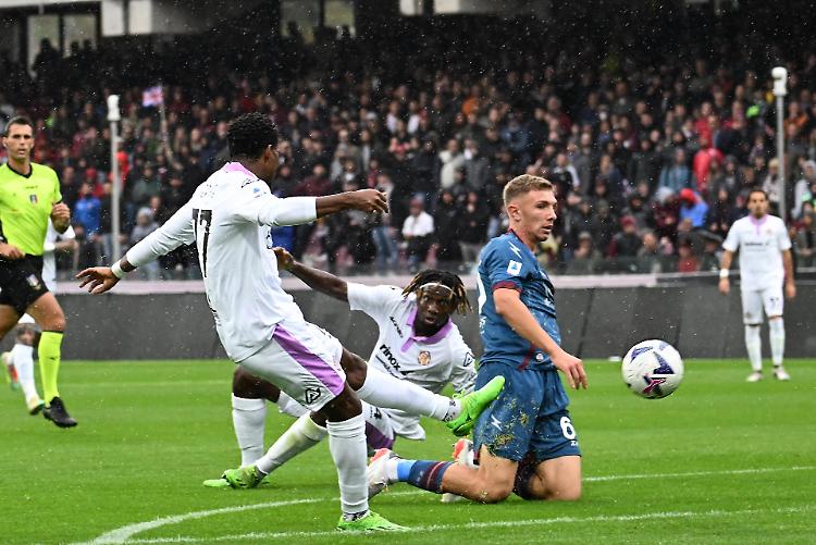 Calcio. Salernitana - Cremonese aggiornamenti live dalle ore 15