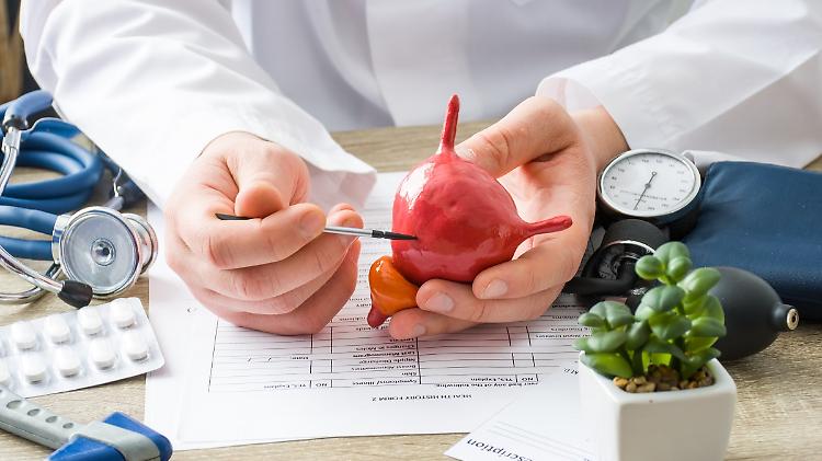 Tumori: prostata, naso elettronico li riconosce in 82% casi
