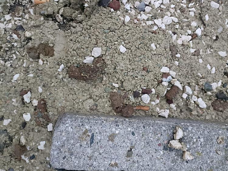 Lettiera dei gatti cosparsa nei giardini dell'8 marzo