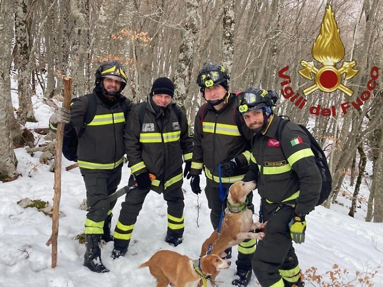 Smarriti nei boschi, due cani recuperati su strapiombo da Vigili del fuoco