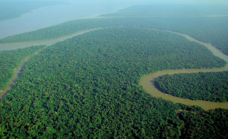 Trovato un altro cadavere nella riserva Yanomami in Amazzonia, non si fermano le violenze