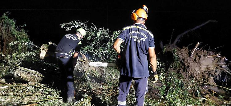 Allagamenti e alberi caduti, danni contenuti per il maltempo