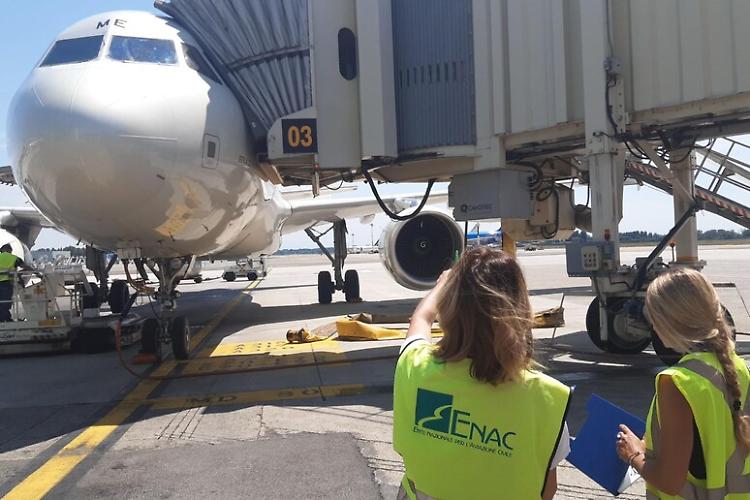 Schianto Freccia Tricolore,  Enac: 2.168 casi di wildlife strike nel 2022