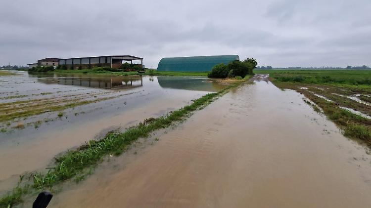 I campi devastati dal maltempo, Confagricoltura: «Un vero disastro»