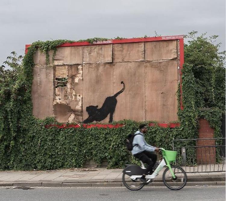 È una leonessa entra nello zoo di Banksy