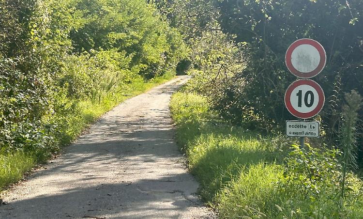 Erbacce e buche, «ma qui nessuno se ne occupa»