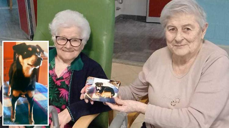 Amiche nel ricordo dei figli: dopo l'adozione del cane, un legame speciale
