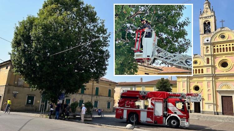 Quercia pericolante nel parcheggio della chiesa, intervengono i vigili del fuoco